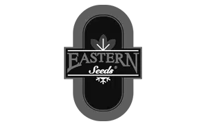 eastern seeds