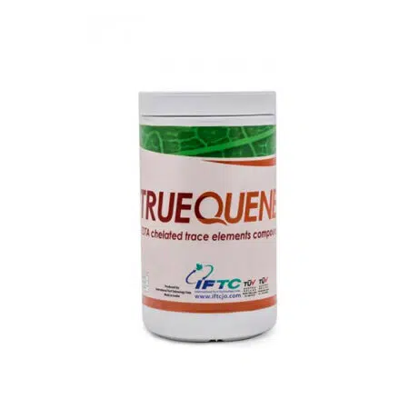 تروکوئن – True quene